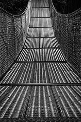 DSC_5885_BW 1272 CascadeFalls
